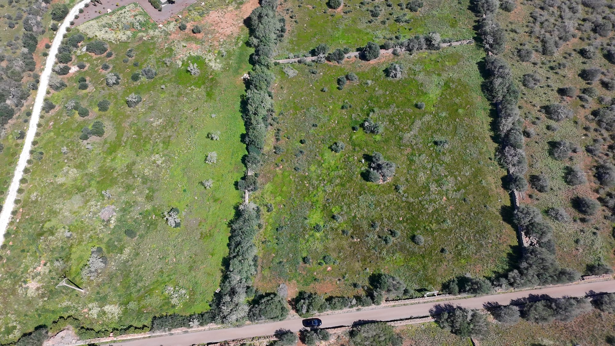 Die Parzellen mit Natursteinmauern von oben